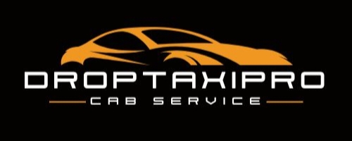 DropTaxiPro Logo